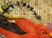 Selección aviar octubre'12