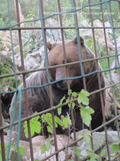 Primera visita a un zoo