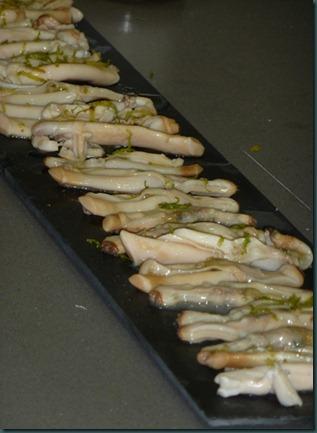 la bolboreta23 copia