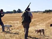 sector cinegético aplaude retirada impuesto caza