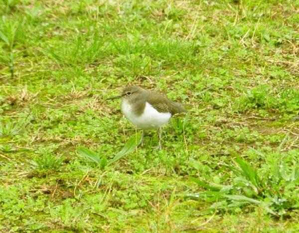 Pequeña excursión pasada por agua