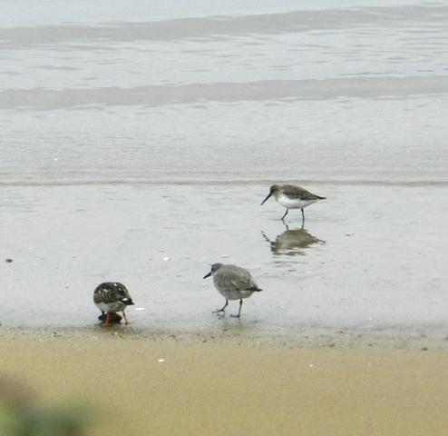 Pequeña excursión pasada por agua