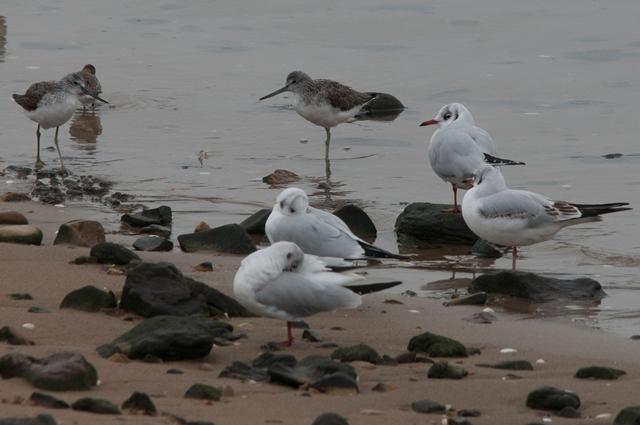 Pequeña excursión pasada por agua
