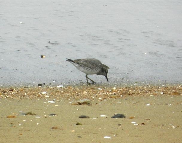 Pequeña excursión pasada por agua