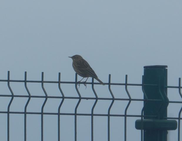 Pequeña excursión pasada por agua