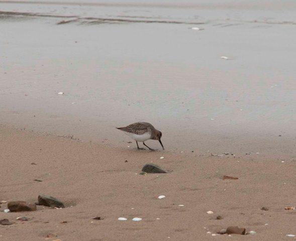 Pequeña excursión pasada por agua