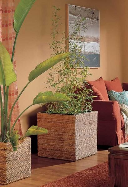 Ambientes más cálidos y acogedores...