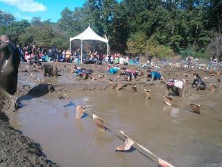 ¡……..Corre Nelson Corrre!