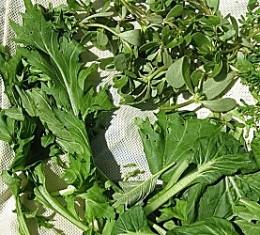 Una Mezcla de Lechugas