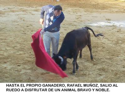 DESPEDIDA TAURINA AL VETERINARIO FELIX CASTRILLO