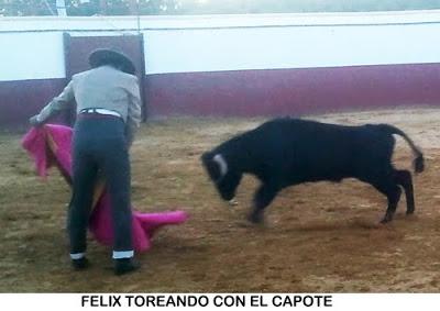 DESPEDIDA TAURINA AL VETERINARIO FELIX CASTRILLO