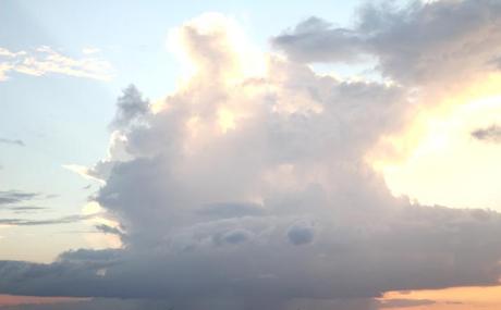 SEE THROUGH SEE THROUGH