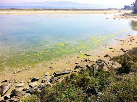 Islas Cíes: zona de playa