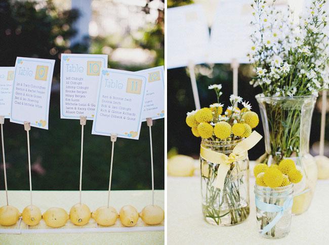 Mi amor por las craspedias