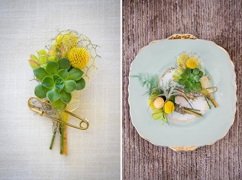 Mi amor por las craspedias