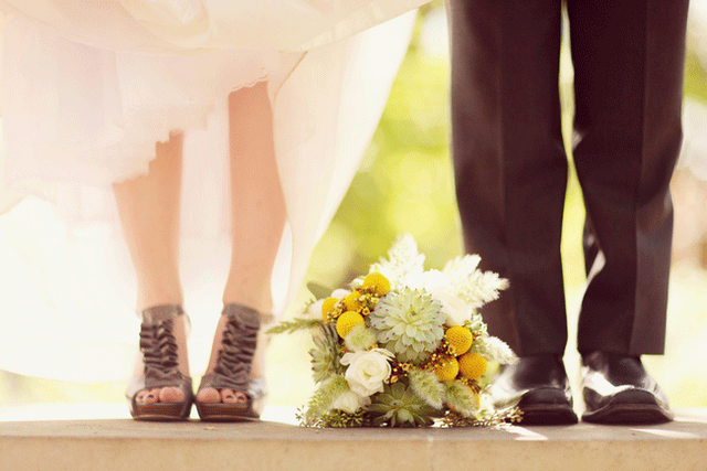 Mi amor por las craspedias