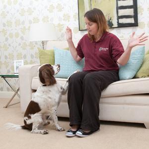 Hearing Dog- Perros guías para personas sordas
