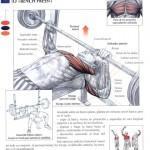 press_de_banco_plano-150x150 press_de_banco_plano-150x150