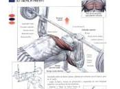 Ejercicios para pectorales