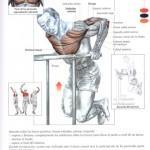 fondos_en_paralelas-150x150 fondos_en_paralelas-150x150