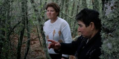 Festival de Cine Europeo de Sevilla 2012: Arraianos