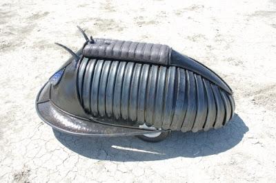 Electrobite olenoides, el coche trilobítico