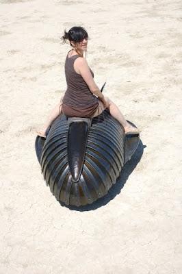 Electrobite olenoides, el coche trilobítico