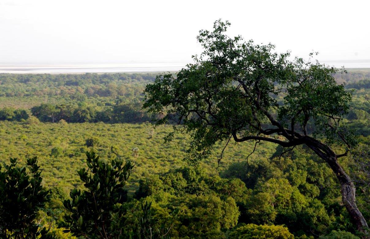 Malawi en un flechazo