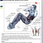 elevaciones_del_tronco_en_el_suelo-150x150 elevaciones_del_tronco_en_el_suelo-150x150