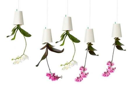 maceta colgantes boskke Concurso Maceta Boskke en Todoparamamas