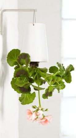 01312 4 Concurso Maceta Boskke en Todoparamamas