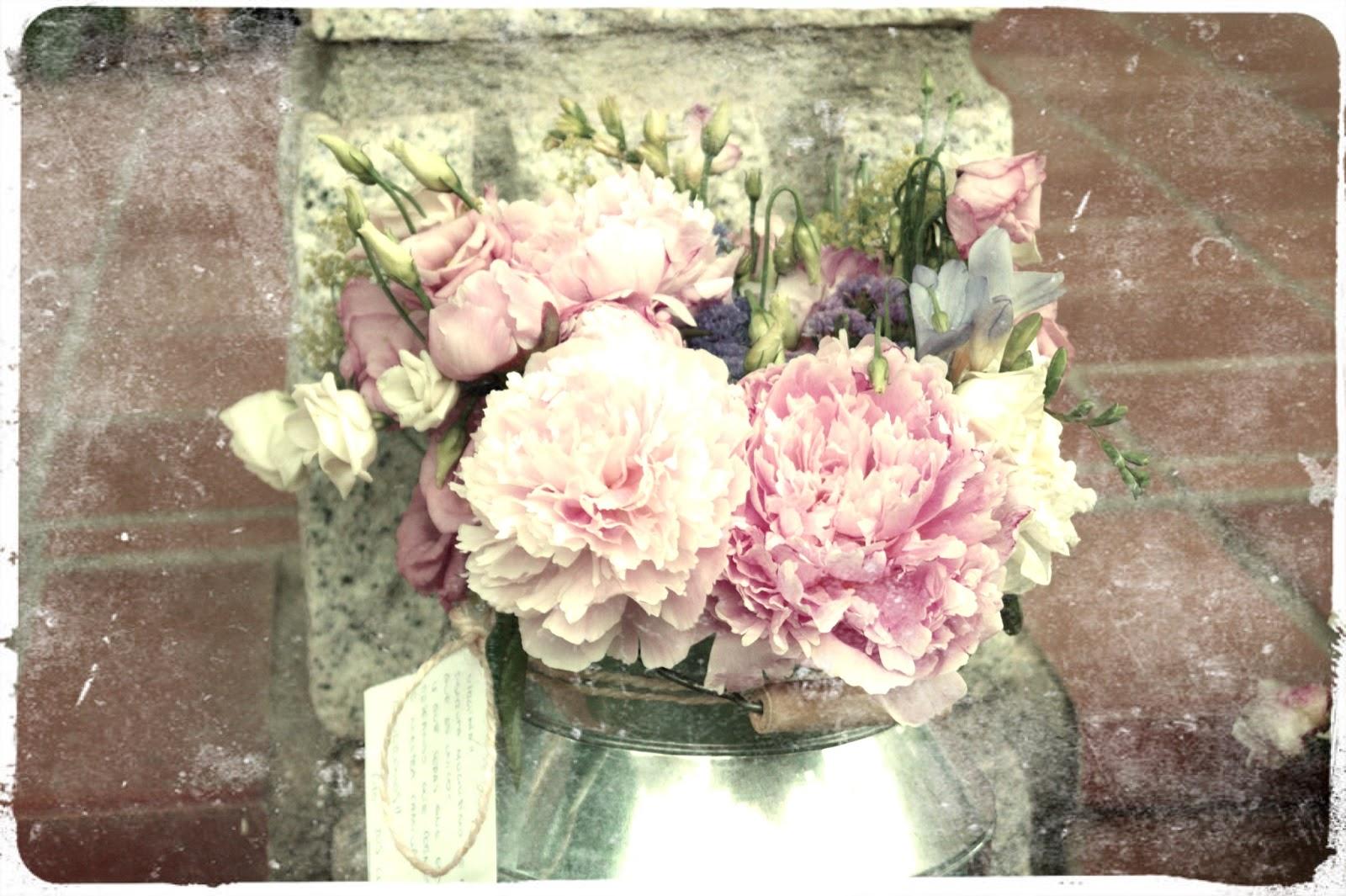 My Favorite Pretty Things!