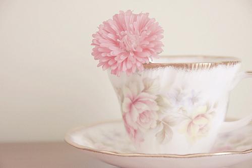 My Favorite Pretty Things!