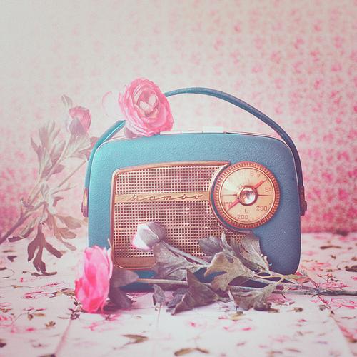 My Favorite Pretty Things!