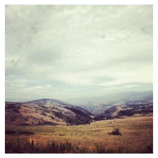 [Disco] Pau Vallvé - De Bosc (2012)