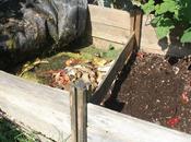 Consejos para Hacer Compost Rápido