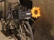 realmente importante nuestra vida