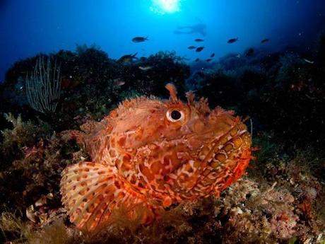 EL MEJOR RINCÓN DE ESPAÑA 2012 (I) EL MEJOR RINCÓN DE ESPAÑA 2012 (I)