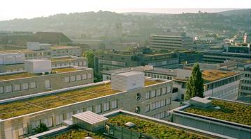 CONVOCATORIA PRENSA, PRESENTACIÓN OFICIAL DE ASESCUVE CONVOCATORIA PRENSA, PRESENTACIÓN OFICIAL DE ASESCUVE