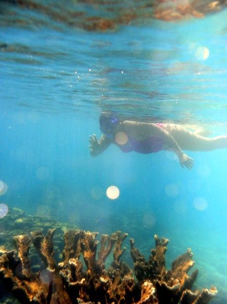 ¡Snorkel en Morrocoy!