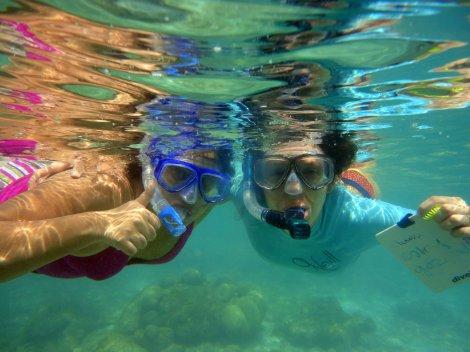 ¡Snorkel en Morrocoy!