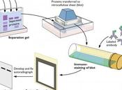 Diagnósticos básicos para detectar sida persona infectada