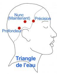 O.M. AIVANHOV. Preguntas y Respuestas. Aclaraciones Importantes. 29-10-2012. Con Audio. ¡Compartir!!!