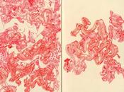 James Jean sketchbook