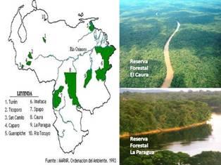 La Reserva Forestal El Caura (Estado Bolívar)