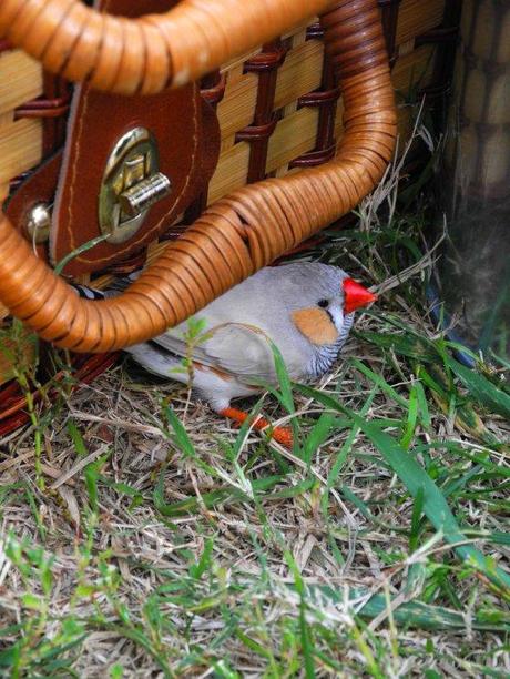 DSCN8667 El Club Handmade VLC y su primer brunch!