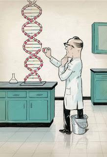 Si la inteligencia es la norma, la estupidez se vuelve más interesante