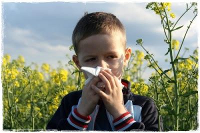 El asma en el niño (III) - factores desencadenantes