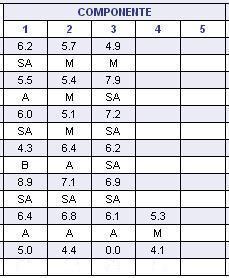 ICFES INTERPRETACIÓN DEL INFORME INDIVIDUAL DE RESULTADOS ICFES INTERPRETACIÓN DEL INFORME INDIVIDUAL DE RESULTADOS