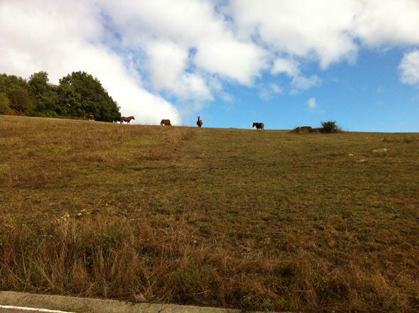 Carta de las montañas